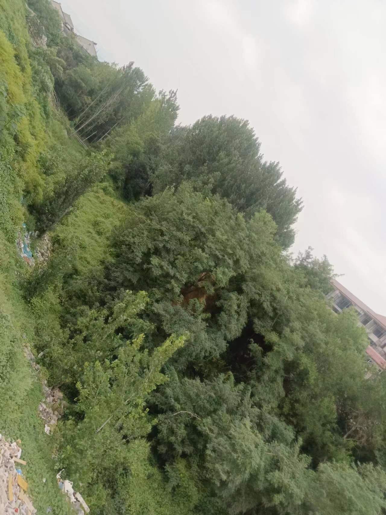 缩略图4