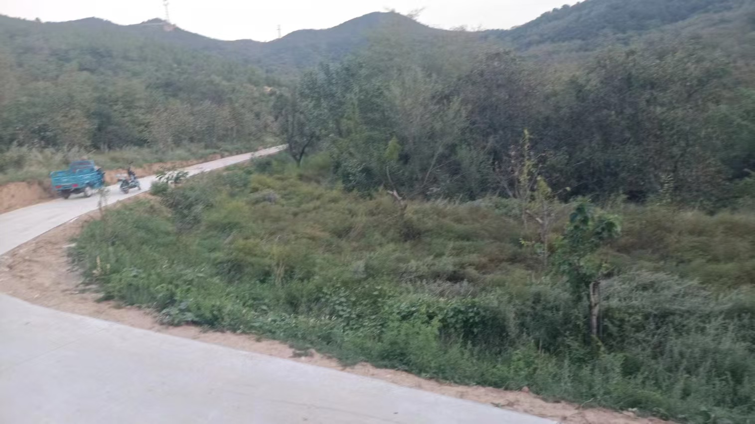 缩略图5
