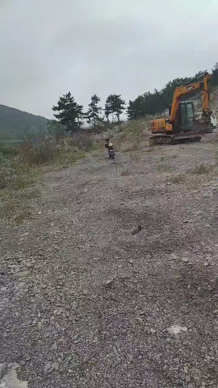 项目图片