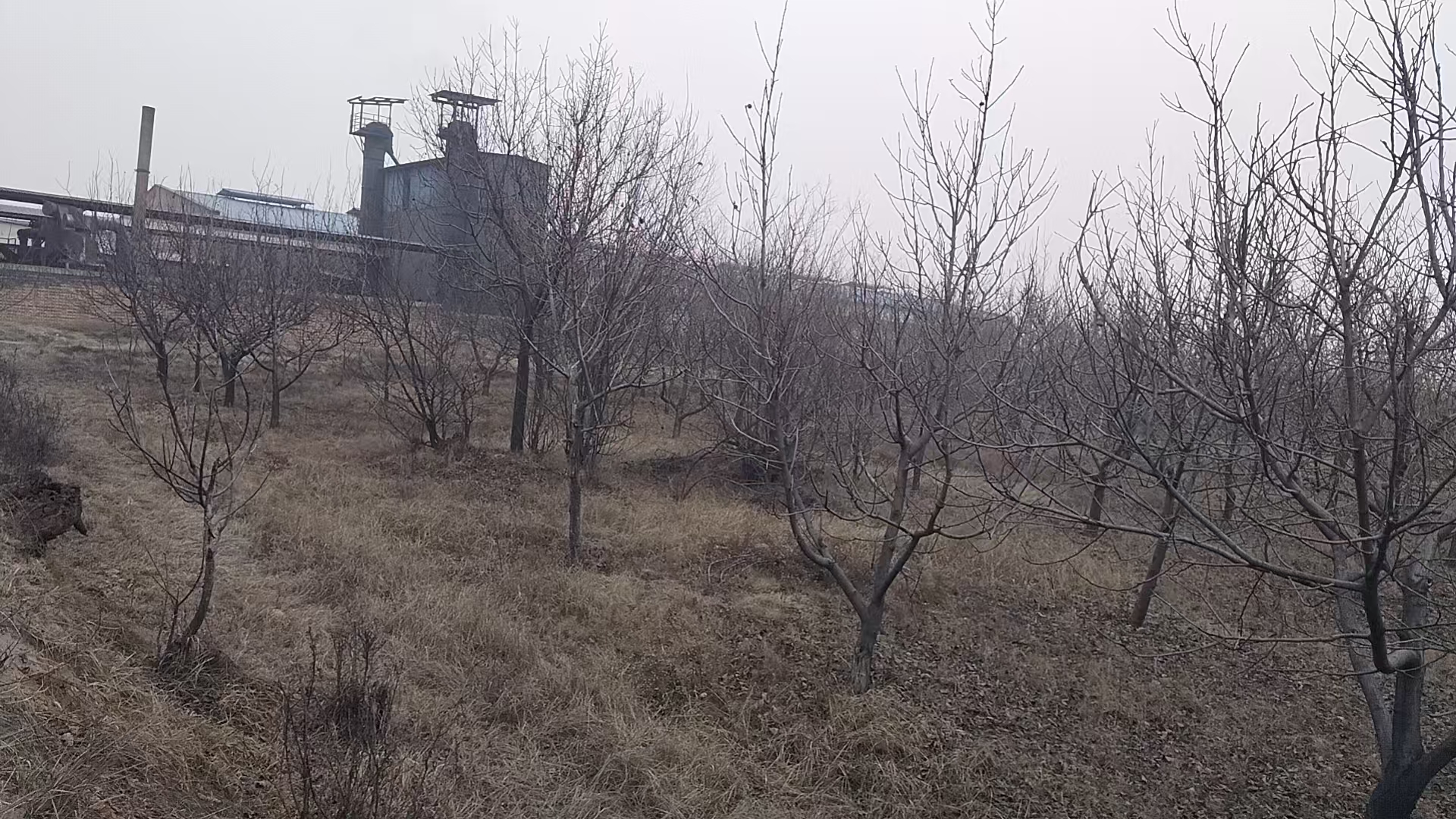 项目图片
