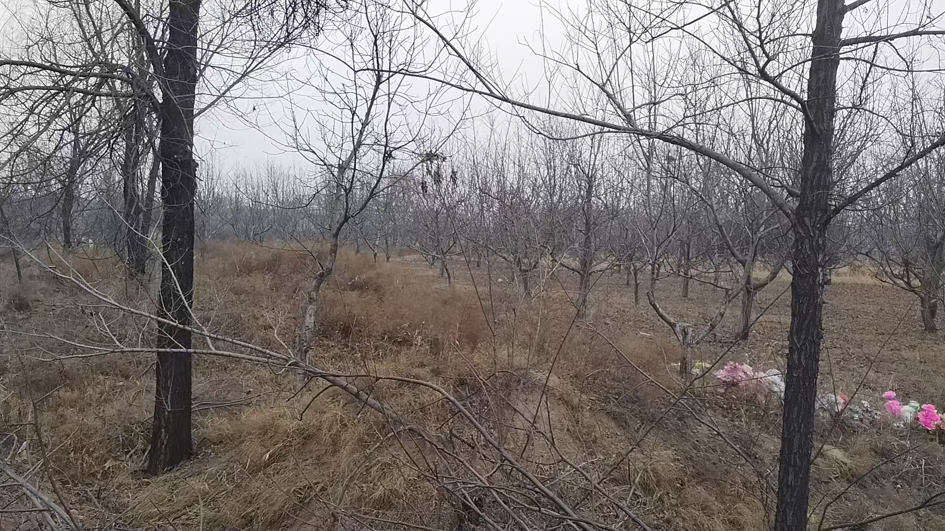 项目图片