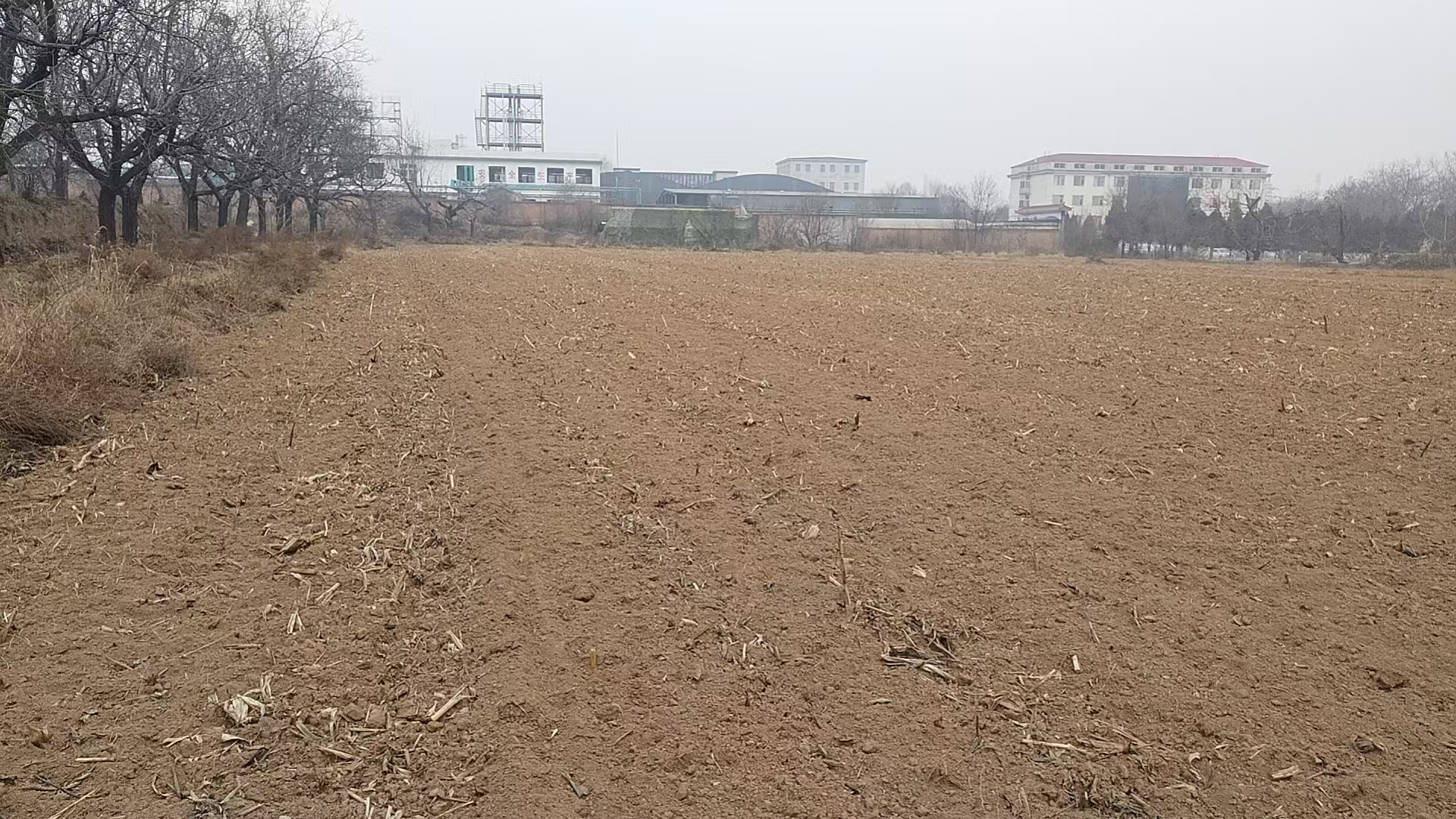 项目图片