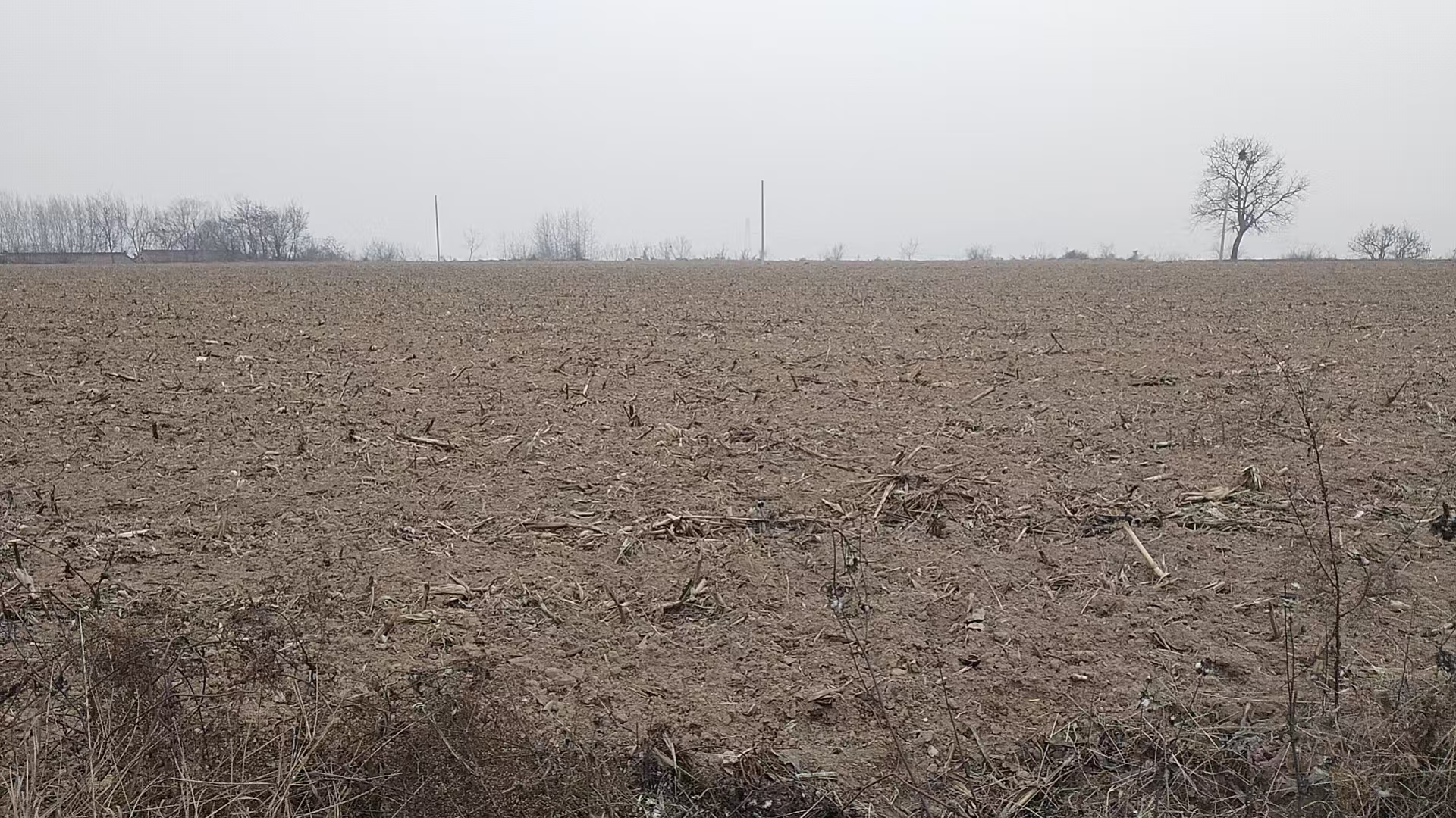 项目图片