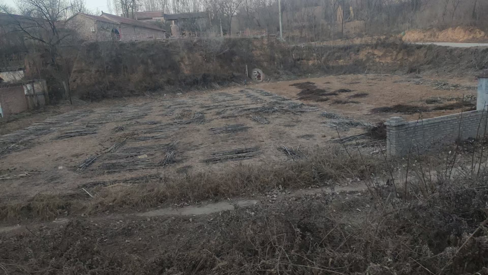 项目图片