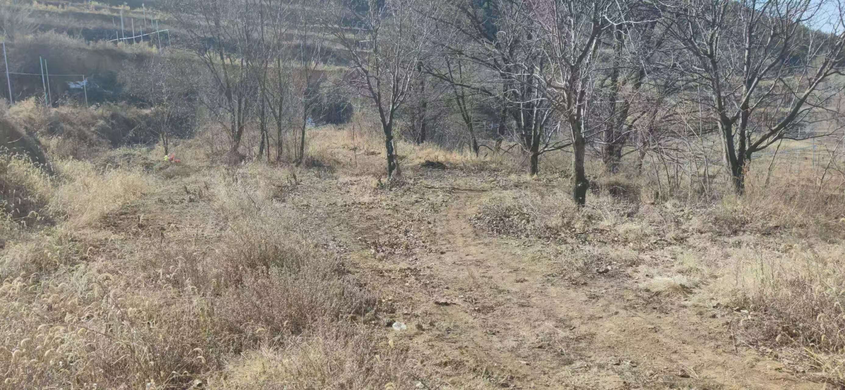 项目图片