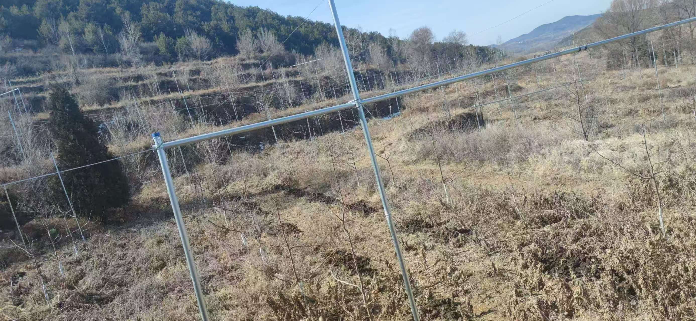 缩略图2