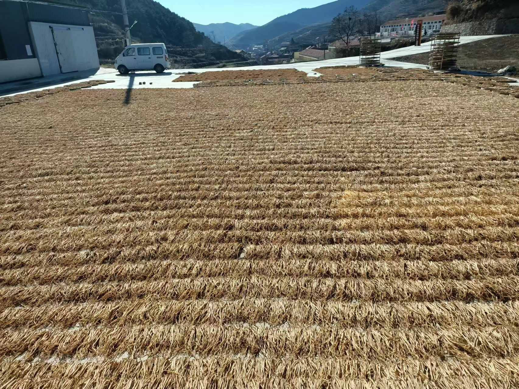 缩略图2