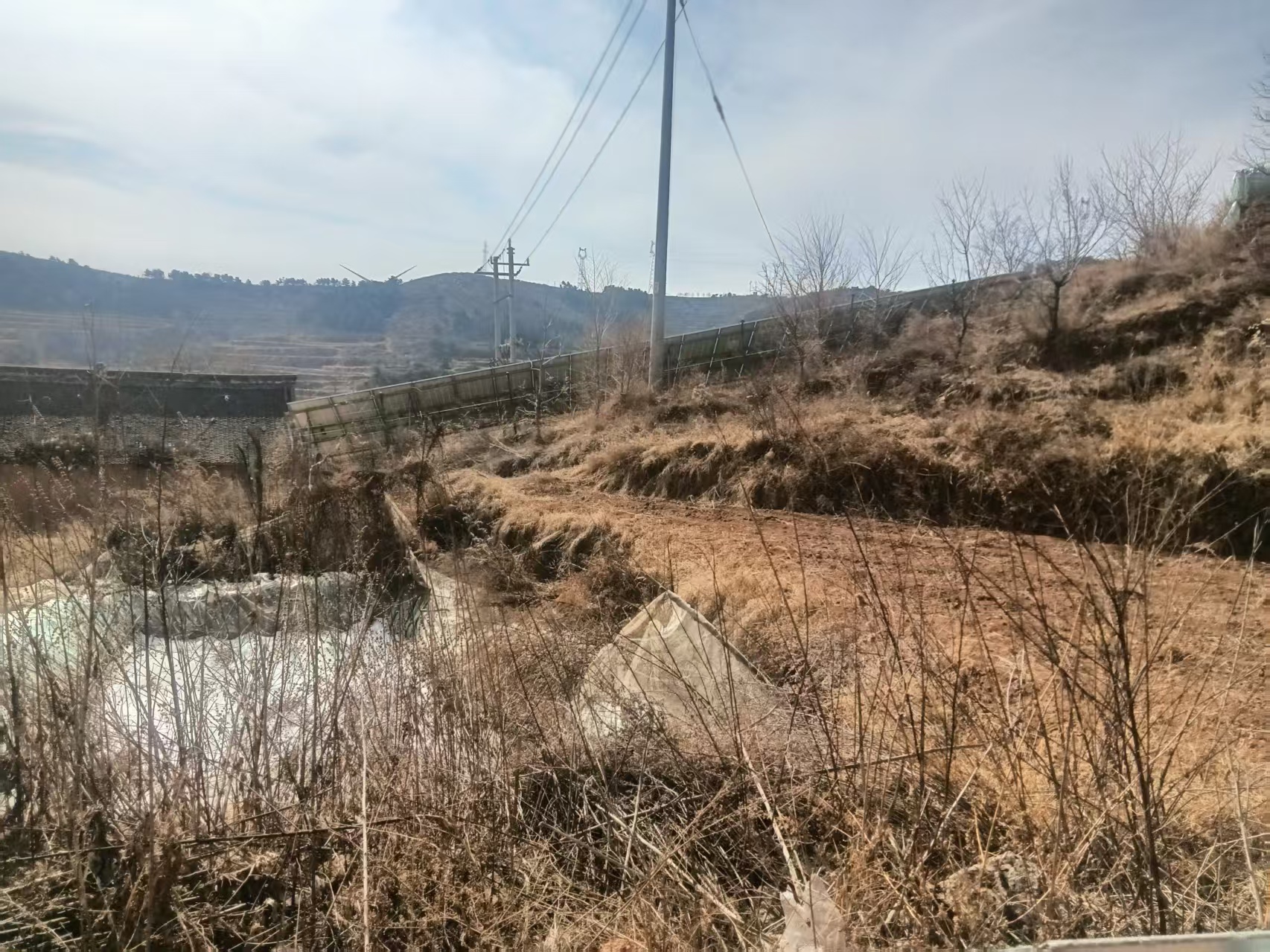 项目图片