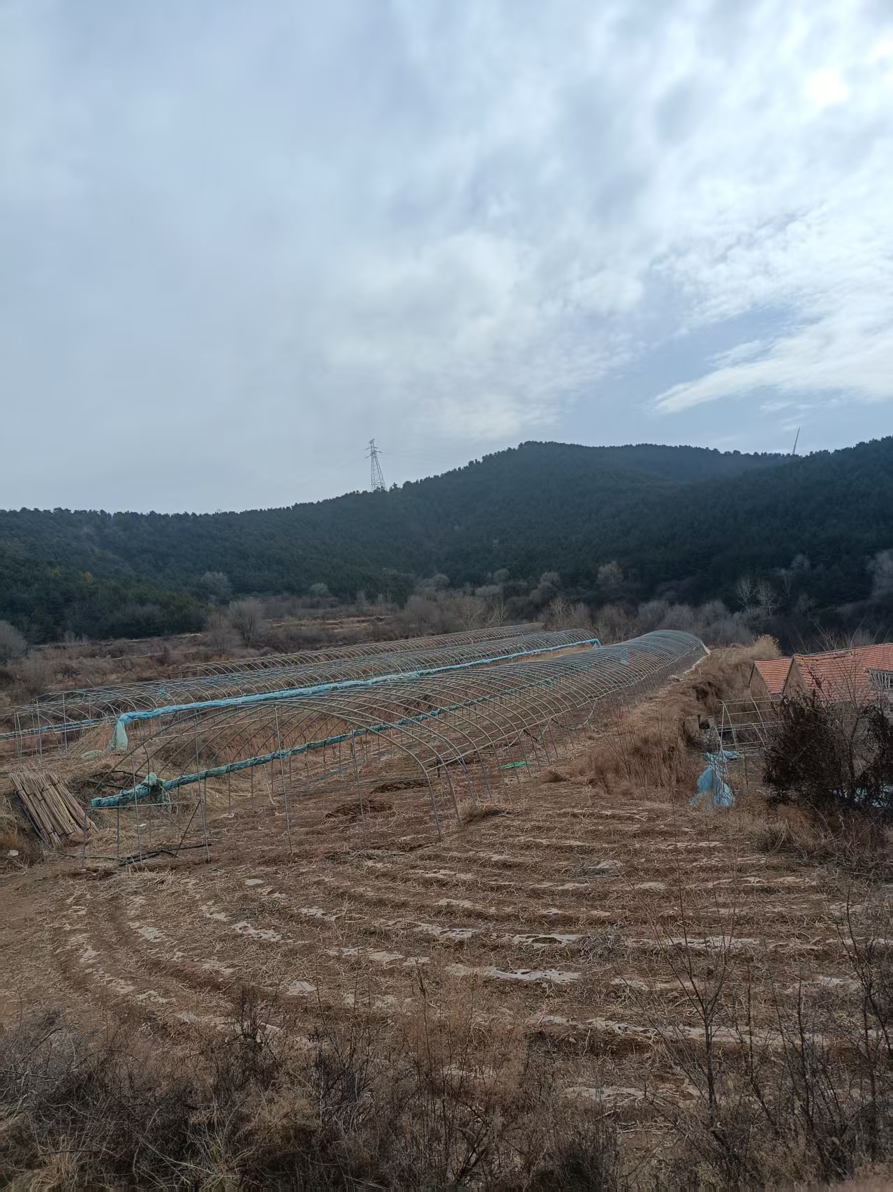 缩略图2