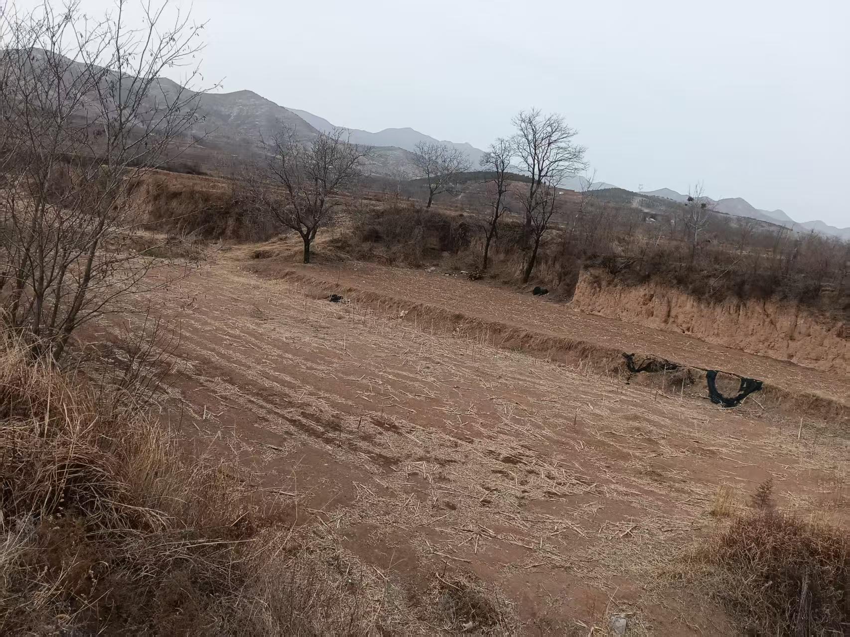 项目图片