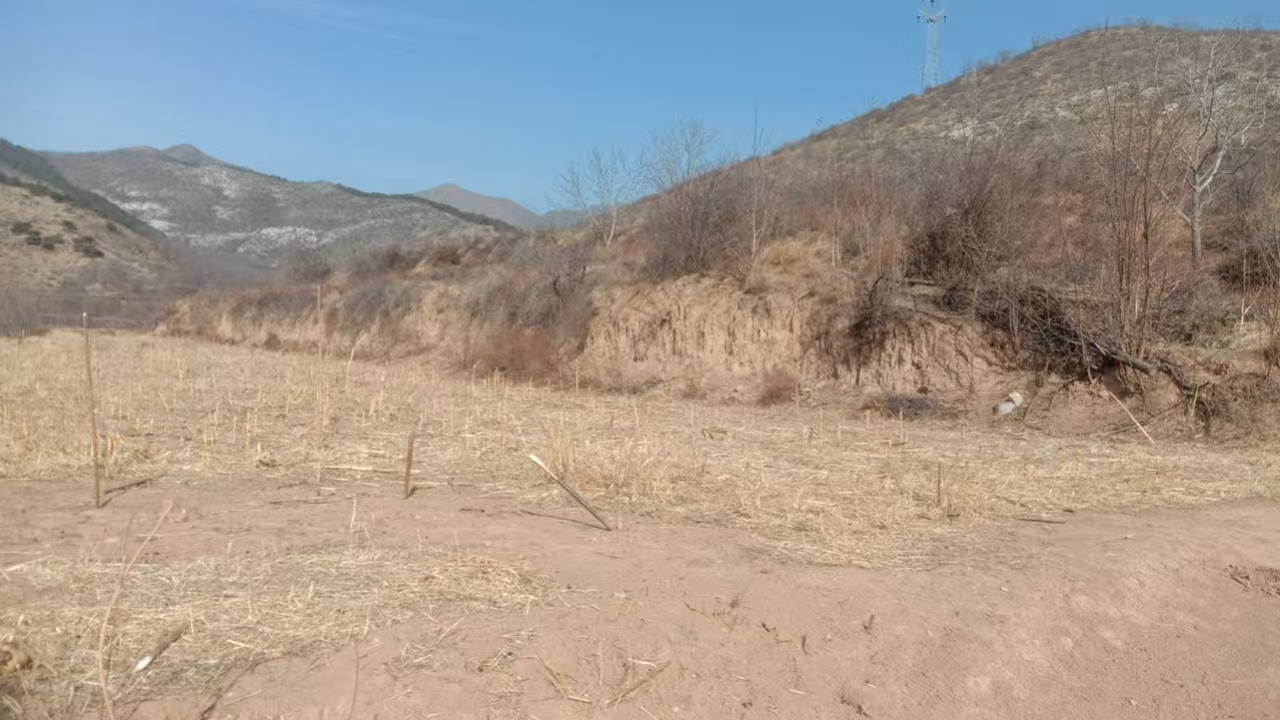项目图片