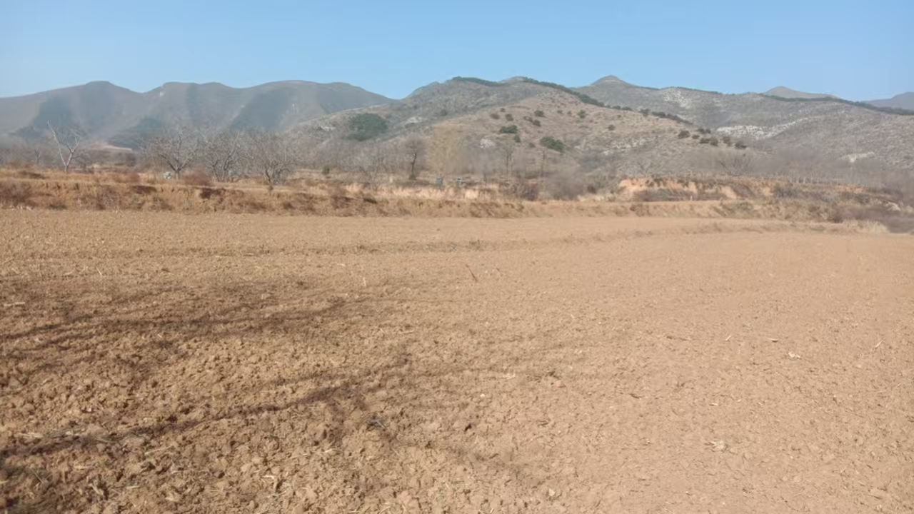 项目图片