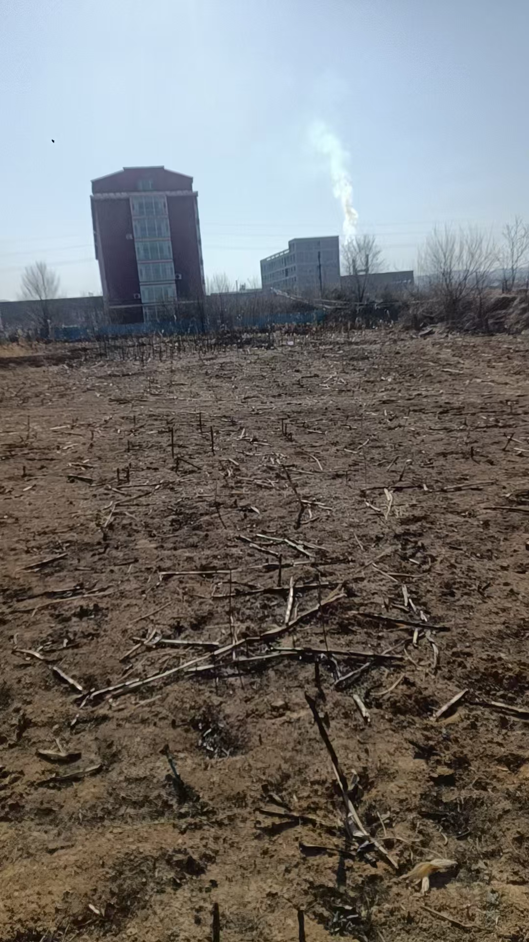 项目图片