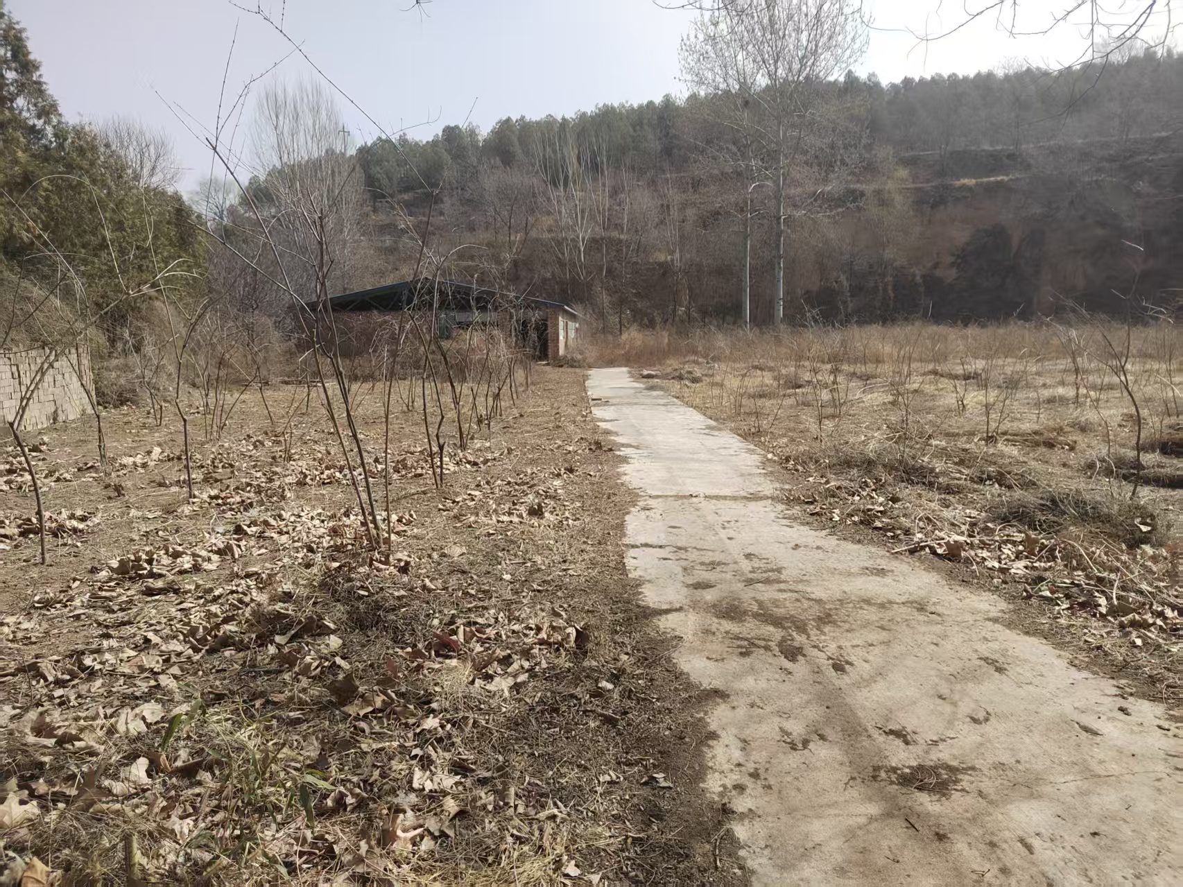 项目图片