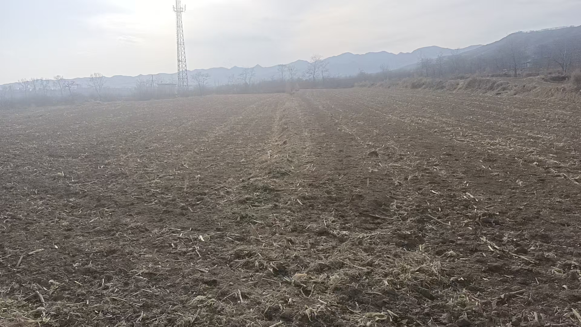 缩略图5