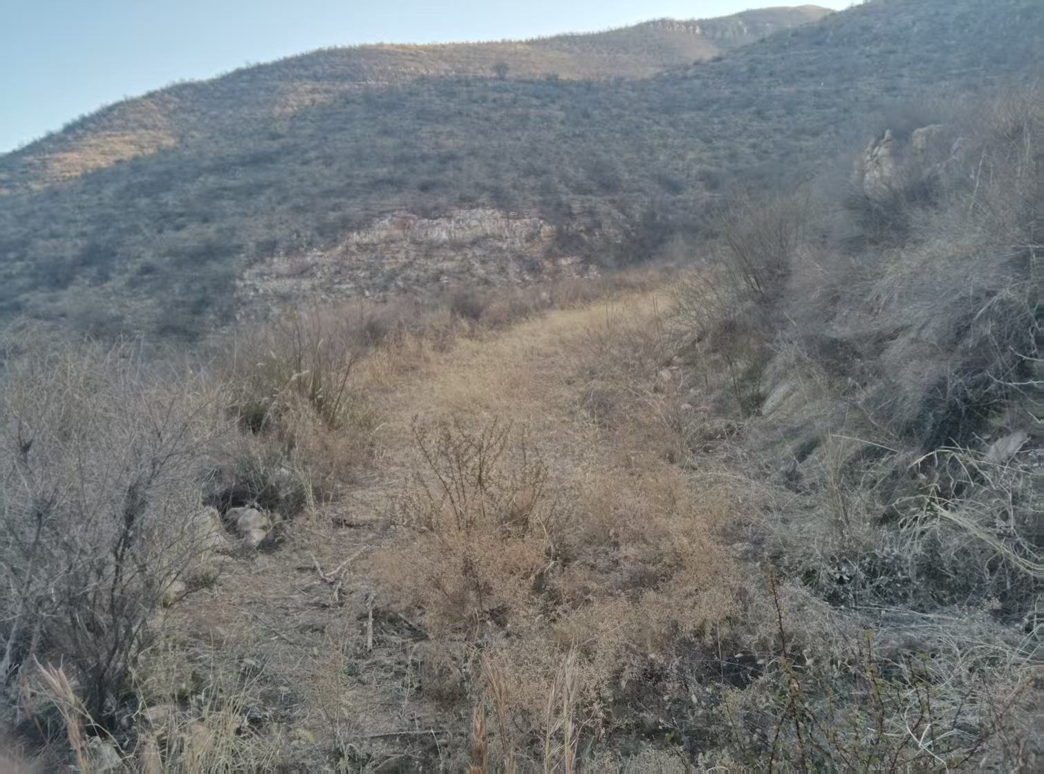 项目图片