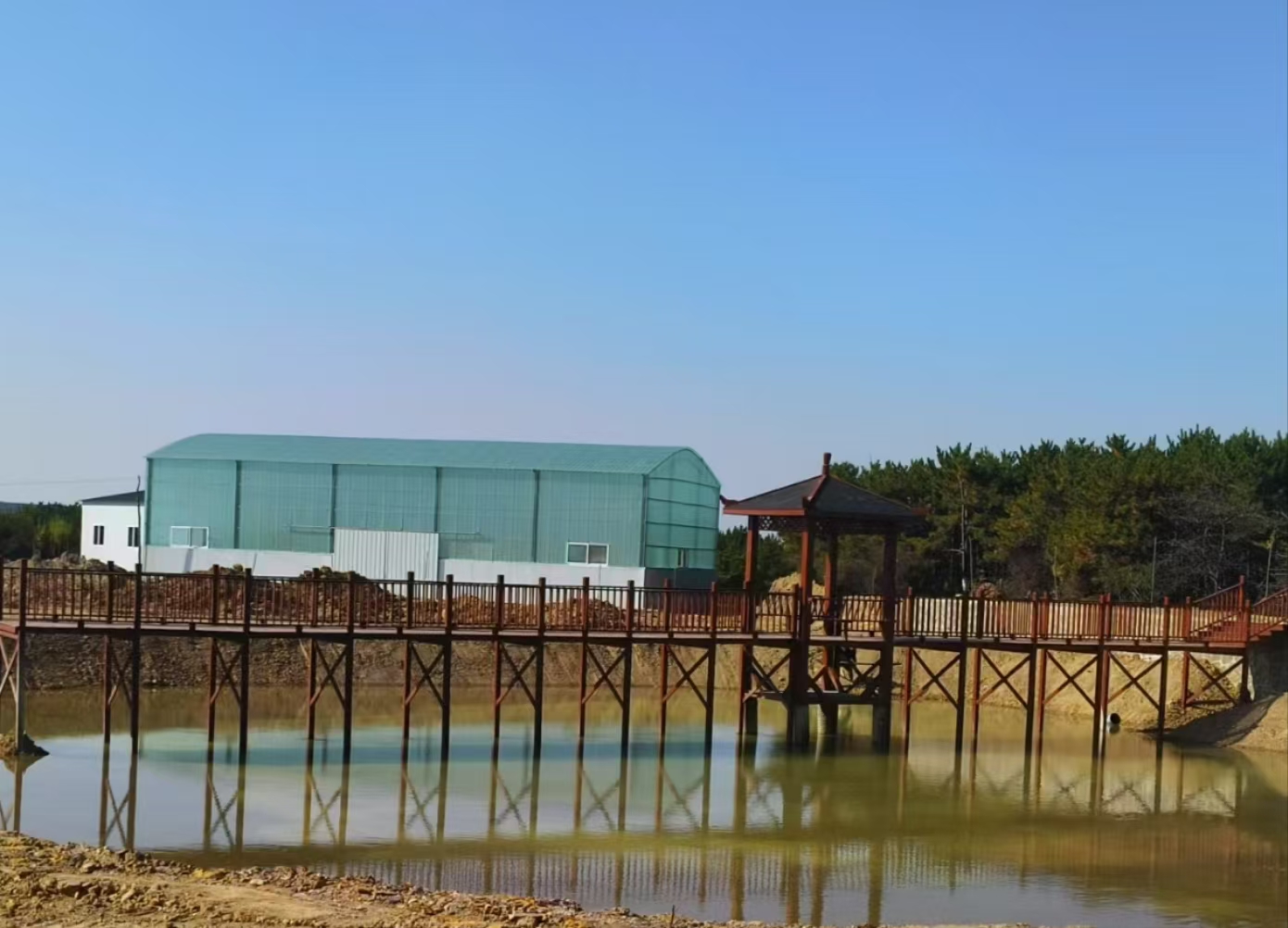 缩略图3