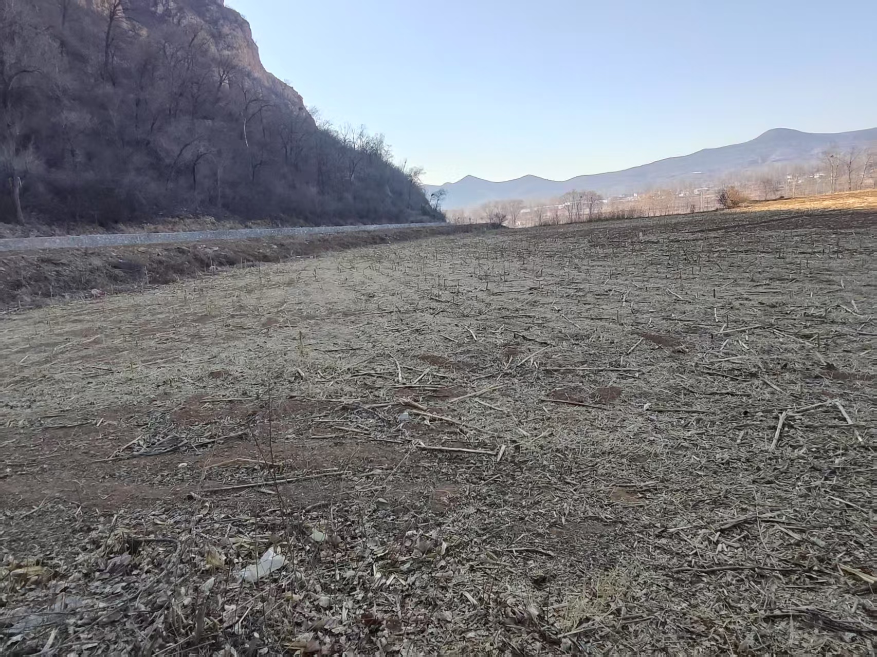 项目图片