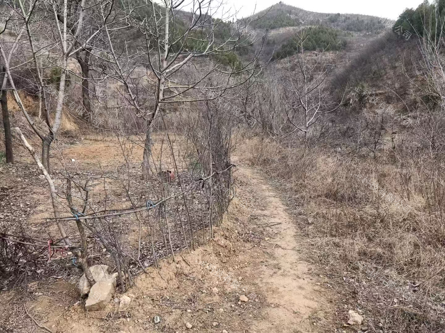 缩略图8