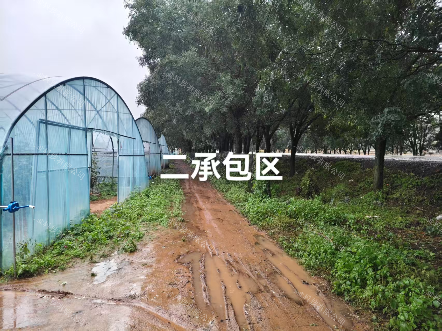 缩略图4