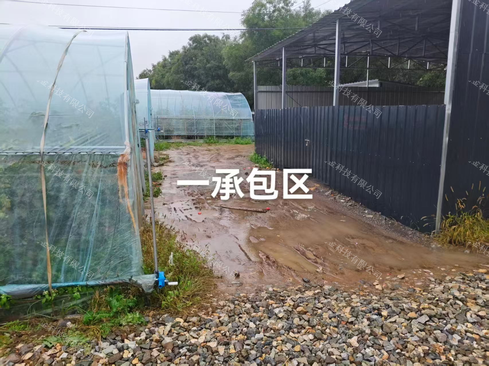 缩略图5